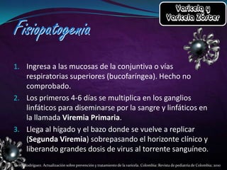 1. Ingresa a las mucosas de la conjuntiva o vías

respiratorias superiores (bucofaríngea). Hecho no
comprobado.
2. Los primeros 4-6 días se multiplica en los ganglios
linfáticos para diseminarse por la sangre y linfáticos en
la llamada Viremia Primaria.
3. Llega al hígado y el bazo donde se vuelve a replicar
(Segunda Viremia) sobrepasando el horizonte clínico y
liberando grandes dosis de virus al torrente sanguíneo.
Sierra Rodríguez. Actualización sobre prevención y tratamiento de la varicela. Colombia: Revista de pediatría de Colombia; 2010

 
