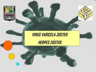 VIRUS VARICELA ZOSTER.
   HERPES ZOSTER.
 