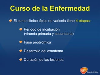 Curso de la Enfermedad
El curso clínico típico de varicela tiene 4 etapas:
Periodo de incubación
(viremia primaria y secundaria)
Fase prodrómica
Desarrollo del exantema
Curación de las lesiones.
 