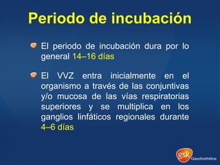 Periodo de incubación
El periodo de incubación dura por lo
general 14–16 días
El VVZ entra inicialmente en el
organismo a través de las conjuntivas
y/o mucosa de las vías respiratorias
superiores y se multiplica en los
ganglios linfáticos regionales durante
4–6 días
 