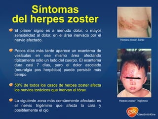 Síntomas
del herpes zoster
El primer signo es a menudo dolor, o mayor
sensibilidad al dolor, en el área inervada por el
nervio afectado.
Pocos días más tarde aparece un exantema de
vesículas en ese mismo área afectando
típicamente sólo un lado del cuerpo. El exantema
dura casi 7 días, pero el dolor asociado
(neuralgia pos herpética) puede persistir más
tiempo
50% de todos los casos de herpes zoster afecta
los nervios torácicos que inervan el tórax
La siguiente zona más comúnmente afectada es
el nervio trigémino que afecta la cara y
posiblemente el ojo
Herpes zoster-Tórax
Herpes zoster-Trigémino
 