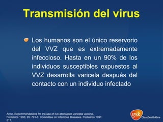 Transmisión del virus
Los humanos son el único reservorio
del VVZ que es extremadamente
infeccioso. Hasta en un 90% de los
individuos susceptibles expuestos al
VVZ desarrolla varicela después del
contacto con un individuo infectado
Anon. Recommendations for the use of live attenuated varicella vaccine.
Pediatrics 1995; 95: 791-6. Committee on Infectious Diseases. Pediatrics 1991:
517.
 
