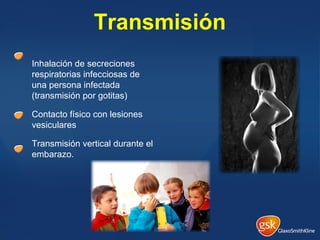 Transmisión
Inhalación de secreciones
respiratorias infecciosas de
una persona infectada
(transmisión por gotitas)
Contacto físico con lesiones
vesiculares
Transmisión vertical durante el
embarazo.
 