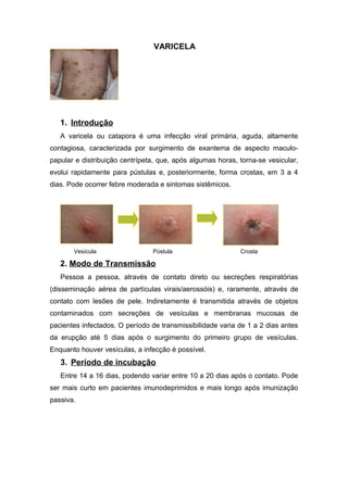 VARICELA

1. Introdução
A varicela ou catapora é uma infecção viral primária, aguda, altamente
contagiosa, caracterizada por surgimento de exantema de aspecto maculopapular e distribuição centrípeta, que, após algumas horas, torna-se vesicular,
evolui rapidamente para pústulas e, posteriormente, forma crostas, em 3 a 4
dias. Pode ocorrer febre moderada e sintomas sistêmicos.

Vesícula

Pústula

Crosta

2. Modo de Transmissão
Pessoa a pessoa, através de contato direto ou secreções respiratórias
(disseminação aérea de partículas virais/aerossóis) e, raramente, através de
contato com lesões de pele. Indiretamente é transmitida através de objetos
contaminados com secreções de vesículas e membranas mucosas de
pacientes infectados. O período de transmissibilidade varia de 1 a 2 dias antes
da erupção até 5 dias após o surgimento do primeiro grupo de vesículas.
Enquanto houver vesículas, a infecção é possível.

3. Período de incubação
Entre 14 a 16 dias, podendo variar entre 10 a 20 dias após o contato. Pode
ser mais curto em pacientes imunodeprimidos e mais longo após imunização
passiva.

 