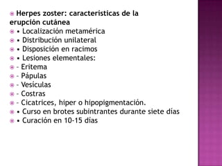 Herpes zoster: características de laerupcióncutánea• Localizaciónmetamérica• Distribución unilateral• Disposición en racimos• Lesioneselementales:– Eritema– Pápulas– Vesículas– Costras– Cicatrices, hiper o hipopigmentación.• Curso en brotes subintrantes durante siete días• Curación en 10-15 días