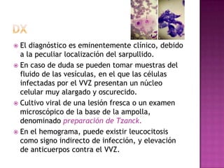 dxEl diagnóstico es eminentemente clínico, debido a la peculiar localización del sarpullido. En caso de duda se pueden tomar muestras del fluido de las vesículas, en el que las células infectadas por el VVZ presentan un núcleo celular muy alargado y oscurecido. Cultivo viral de una lesión fresca o un examen microscópico de la base de la ampolla, denominado preparación de Tzanck. En el hemograma, puede existir leucocitosis como signo indirecto de infección, y elevación de anticuerpos contra el VVZ.