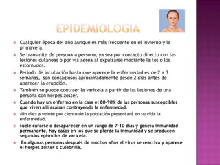 epidemiologiaCualquierépoca del añoaunque es más frecuente en el invierno y la primavera. Se transmite de persona a persona, ya sea por contacto directo con las lesiones cutáneas o por vía aérea al expulsarse mediante la tos o los estornudos. Periodo de incubación hasta que aparece la enfermedad es de 2 a 3 semanas,  son contagiosos aproximadamente desde 2 días antes de aparecer la erupción. También se puede contraer la varicela a partir de las lesiones de una persona con herpes zoster.Cuando hay un enfermo en la casa el 80-90% de las personas susceptibles que viven allí acaban contrayendo la enfermedad.-Un diez a veinte por ciento de la población presentará en su vida la enfermedad.suele curarse o desaparecer en un rango de 7-10 días y genera inmunidad permanente, hay casos en los que se pierde la inmunidad y se producen segundos episodios de varicela. En algunas personas después de muchos años el virus se reactiva y aparece el herpes zoster o culebrilla.