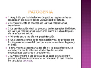 patogenia1-Adquirida por la inhalación de gotitas respiratorias en suspensión en el aire desde un huésped infectado.2-El virus infecta la mucosa de las vías respiratorias superiores.3-La proliferación viral se produce en los ganglios linfáticos de las vías respiratorias superiores entre 2-4 días después de la infección inicial .4-Viremia entre los día 4-6 postinfección. 5-Una segunda ronda de la replicación viral se produce en los órganos internos del cuerpo, especialmente el hígado y el bazo.  6-Una viremia secundaria del día 14-16 postinfection, se caracteriza por la difusión viral entre las celulas endoteliales capilares y la epidermis. 7-El virus emigra a las células de la capa de Malpighi y produce edema intercelular e intracelular, lo que resulta en la clásica vesícula.