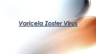 Varicela Zoster Virus

 