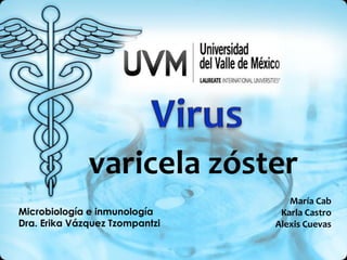 varicela zóster
                                   María Cab
Microbiología e inmunología      Karla Castro
Dra. Erika Vázquez Tzompantzi   Alexis Cuevas
 