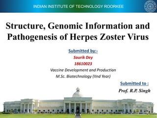 INDIAN INSTITUTE OF TECHNOLOGY ROORKEE
Structure, Genomic Information and
Pathogenesis of Herpes Zoster Virus
Submitted by:-
Sourik Dey
18610023
Vaccine Development and Production
M.Sc. Biotechnology (IInd Year)
Submitted to :
Prof. R.P. Singh
 