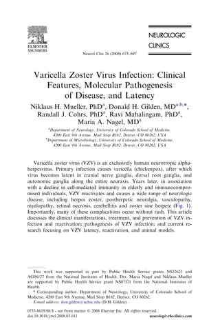 Neurol Clin 26 (2008) 675–697




   Varicella Zoster Virus Infection: Clinical
      Features, Molecular Pathogenesis
            of Disease, and Latency
 Niklaus H. Mueller, PhDa, Donald H. Gilden, MDa,b,*,
   Randall J. Cohrs, PhDa, Ravi Mahalingam, PhDa,
                Maria A. Nagel, MDa
            a
            Department of Neurology, University of Colorado School of Medicine,
             4200 East 9th Avenue, Mail Stop B182, Denver, CO 80262, USA
          b
           Department of Microbiology, University of Colorado School of Medicine,
             4200 East 9th Avenue, Mail Stop B182, Denver, CO 80262, USA



   Varicella zoster virus (VZV) is an exclusively human neurotropic alpha-
herpesvirus. Primary infection causes varicella (chickenpox), after which
virus becomes latent in cranial nerve ganglia, dorsal root ganglia, and
autonomic ganglia along the entire neuraxis. Years later, in association
with a decline in cell-mediated immunity in elderly and immunocompro-
mised individuals, VZV reactivates and causes a wide range of neurologic
disease, including herpes zoster, postherpetic neuralgia, vasculopathy,
myelopathy, retinal necrosis, cerebellitis and zoster sine herpete (Fig. 1).
Importantly, many of these complications occur without rash. This article
discusses the clinical manifestations, treatment, and prevention of VZV in-
fection and reactivation; pathogenesis of VZV infection; and current re-
search focusing on VZV latency, reactivation, and animal models.




   This work was supported in part by Public Health Service grants NS32623 and
AG06127 from the National Institutes of Health. Drs. Maria Nagel and Niklaus Mueller
are supported by Public Health Service grant NS07321 from the National Institutes of
Health.
   * Corresponding author. Department of Neurology, University of Colorado School of
Medicine, 4200 East 9th Avenue, Mail Stop B182, Denver, CO 80262.
   E-mail address: don.gilden@uchsc.edu (D.H. Gilden).

0733-8619/08/$ - see front matter Ó 2008 Elsevier Inc. All rights reserved.
doi:10.1016/j.ncl.2008.03.011                                          neurologic.theclinics.com
 