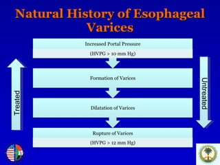 Natural History of Esophageal Varices Treated Untreated 