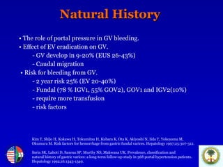 Natural History   •   The role of portal pressure in GV bleeding.  •   Effect of EV eradication on GV.  - GV develop in 9-20% (EUS 26-43%) - Caudal migration •   Risk for bleeding from GV.  - 2 year risk 25% (EV 20-40%) - Fundal (78 % IGV1, 55% GOV2), GOV1 and IGV2(10%) - require more transfusion - risk factors Kim T, Shijo H, Kokawa H, Tokumitsu H, Kubara K, Ota K, Akiyoshi N, Iida T, Yokoyama M,  Okumura M. Risk factors for hemorrhage from gastric fundal varices. Hepatology 1997;25:307-312. Sarin SK, Lahoti D, Saxena SP, Murthy NS, Makwana UK. Prevalence, classification and  natural history of gastric varices: a long-term follow-up study in 568 portal hypertension patients.  Hepatology 1992;16:1343-1349. 