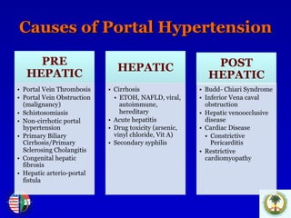 Causes of Portal Hypertension 