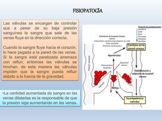 Las válvulas se encargan de controlar
que a pesar de su baja presión
sanguínea la sangre que sale de las
venas fluya en la dirección correcta.
Cuando la sangre fluye hacia el corazón,
lo hace pegada a la pared de las venas.
Si la sangre está paralizada amenaza
con refluir, entonces las válvulas se
hinchan, de esta manera las válvulas
impiden que la sangre pueda refluir
debido a la fuerza de la gravedad.
•La cantidad aumentada de sangre en las
venas dilatadas es la responsable de que
la presión siga aumentando en las venas.
FISIOPATOGÍA
 