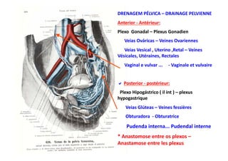 DRENAGEM	
  PÉLVICA	
  –	
  DRAINAGE	
  PELVIENNE	
  
Anterior	
  -­‐	
  Antérieur:	
  	
  
Plexo	
  	
  Gonadal	
  –	
  Plexus	
  Gonadien	
  	
  
	
  	
  	
  	
  	
  	
  Veias	
  Ováricas	
  –	
  Veines	
  Ovariennes	
  
	
  	
  	
  	
  	
  	
  Veias	
  Vesical	
  ,	
  Uterino	
  ,Retal	
  –	
  Veines	
  
Vésicales,	
  Utéraines,	
  Rectales	
  
	
  	
  	
  	
  	
  	
  Vaginal	
  e	
  vulvar	
  ...	
  	
  	
  	
  	
  -­‐	
  Vaginale	
  et	
  vulvaire	
  


 Posterior	
  -­‐	
  postérieur:	
  
 	
  
	
  	
  Plexo	
  Hipogástrico	
  (	
  il	
  int	
  )	
  –	
  plexus	
  
hypogastrique	
  
	
  	
  	
  	
  	
  	
  	
  Veias	
  Glúteas	
  –	
  Veines	
  fessières	
  
	
  	
  	
  	
  	
  	
  	
  Obturadora	
  	
  -­‐	
  Obturatrice	
  

	
  	
  	
  	
  	
  	
  	
  Pudenda	
  interna...	
  Pudendal	
  interne	
  
*	
  Anastomose	
  entre	
  os	
  plexos	
  –	
  
Anastamose	
  entre	
  les	
  plexus	
  
 