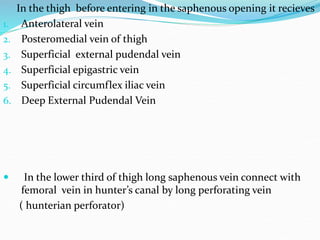 In the thigh before entering in the saphenous opening it recieves
1. Anterolateral vein
2. Posteromedial vein of thigh
3. Superficial external pudendal vein
4. Superficial epigastric vein
5. Superficial circumflex iliac vein
6. Deep External Pudendal Vein
 In the lower third of thigh long saphenous vein connect with
femoral vein in hunter’s canal by long perforating vein
( hunterian perforator)
 