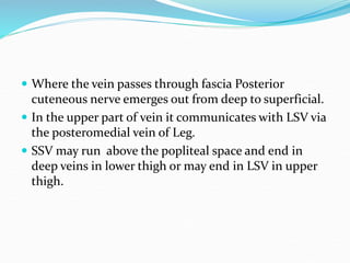  Where the vein passes through fascia Posterior
cuteneous nerve emerges out from deep to superficial.
 In the upper part of vein it communicates with LSV via
the posteromedial vein of Leg.
 SSV may run above the popliteal space and end in
deep veins in lower thigh or may end in LSV in upper
thigh.
 