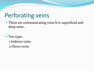 Perforating veins
 These are communicating veins b/w superficial and
deep veins .
 Two type:
1 Indirect veins
2 Direct veins
 