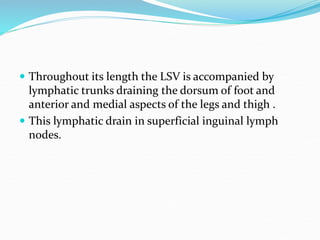  Throughout its length the LSV is accompanied by
lymphatic trunks draining the dorsum of foot and
anterior and medial aspects of the legs and thigh .
 This lymphatic drain in superficial inguinal lymph
nodes.
 