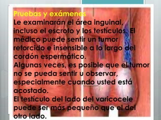 Pruebas y exámenes
Le examinarán el área inguinal,
incluso el escroto y los testículos. El
médico puede sentir un tumor
retorcido e insensible a lo largo del
cordón espermático.
Algunas veces, es posible que el tumor
no se pueda sentir u observar,
especialmente cuando usted está
acostado.
El testículo del lado del varicocele
puede ser más pequeño que el del
otro lado.
 