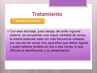 Tratamiento
 Con este abordaje, justo debajo del anillo inguinal
externo, se encuentran una mayor cantidad de venas,
la arteria testicular está con más frecuencia rodeada
por una red de venas muy pequeñas que deben ligarse
y suele hallarse dividida en dos o tres ramas, lo que
dificulta la identificación y su preservación.
Subinguinal (mamar)
 