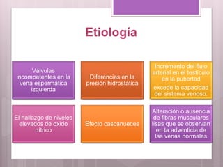 Etiología
Válvulas
incompetentes en la
vena espermática
izquierda
Diferencias en la
presión hidrostática
Incremento del flujo
arterial en el testículo
en la pubertad
excede la capacidad
del sistema venoso.
El hallazgo de niveles
elevados de oxido
nítrico
Efecto cascanueces
Alteración o ausencia
de fibras musculares
lisas que se observan
en la adventicia de
las venas normales
 