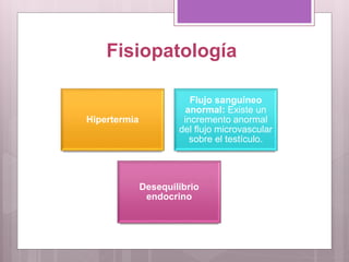 Fisiopatología
Hipertermia
Flujo sanguíneo
anormal: Existe un
incremento anormal
del flujo microvascular
sobre el testículo.
Desequilibrio
endocrino
 