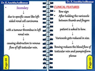 • Secondary
↓
due to specific cause likeleft-
sided renal cell carcinoma
↓
with a tumour thrombus in left
renal vein
↓
causing obstruction to venous
flow of left testicular vein.
CLINICALFEATURES
• Bow sign
• After holding the varicocele
betweenthumband fingers
↓
patient is asked to bow.
↓
Varicocele gets reduced in size.
↓
Bowing reduces the blood flow of
testicular vein and pampiniform
plexus
 