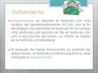 Tratamiento
 Orquidopexia: se aborda el testículo con una
incisión de aproximadamente 4-5 cm con el fin
de realizar una detorsión el testículo. En el campo
más profundo del escroto se fija el testículo con
uno o dos puntos de sutura. Lo mismo se realiza
en el testículo contralateral.
 Si después de haber transcurrido un período de
observación, el testículo continúa isquémico, está
indicada la orquiectomía.
 