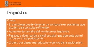 Universidad Nacional
Federico Villarreal
Diagnóstico
Clínica
• El andrólogo puede detectar un varicocele en pacientes que
acuden a su consulta refiriendo:
• Aumento de tamaño del hemiescroto izquierdo.
• Pesadez o dolor sordo a nivel escrotal que aumenta con el
esfuerzo o la bipedestación.
• O bien, por deseo reproductivo y dentro de la exploración.
 