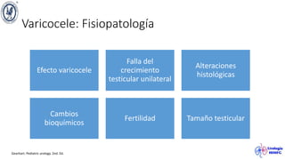 Varicocele: Fisiopatología
Efecto varicocele
Falla del
crecimiento
testicular unilateral
Alteraciones
histológicas
Cambios
bioquímicos
Fertilidad Tamaño testicular
Gearhart. Pediatric urology. 2nd. Ed.
 