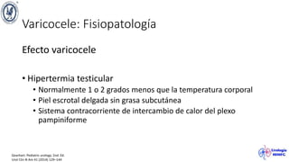 Varicocele: Fisiopatología
Efecto varicocele
• Hipertermia testicular
• Normalmente 1 o 2 grados menos que la temperatura corporal
• Piel escrotal delgada sin grasa subcutánea
• Sistema contracorriente de intercambio de calor del plexo
pampiniforme
Gearhart. Pediatric urology. 2nd. Ed.
Urol Clin N Am 41 (2014) 129–144
 