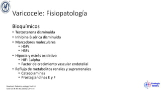 Varicocele: Fisiopatología
Bioquímicos
• Testosterona disminuida
• Inhibina B sérica disminuida
• Marcadores moleculares
• HSPs
• HSFs
• Hipoxia y estrés oxidativo
• HIF- 1alpha
• Factor de crecimiento vascular endotelial
• Reflujo de metabolitos renales y suprarrenales
• Catecolaminas
• Prostaglandinas E y F
Gearhart. Pediatric urology. 2nd. Ed.
Urol Clin N Am 41 (2014) 129–144
 