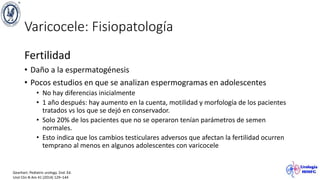 Varicocele: Fisiopatología
Fertilidad
• Daño a la espermatogénesis
• Pocos estudios en que se analizan espermogramas en adolescentes
• No hay diferencias inicialmente
• 1 año después: hay aumento en la cuenta, motilidad y morfología de los pacientes
tratados vs los que se dejó en conservador.
• Solo 20% de los pacientes que no se operaron tenían parámetros de semen
normales.
• Esto indica que los cambios testiculares adversos que afectan la fertilidad ocurren
temprano al menos en algunos adolescentes con varicocele
Gearhart. Pediatric urology. 2nd. Ed.
Urol Clin N Am 41 (2014) 129–144
 