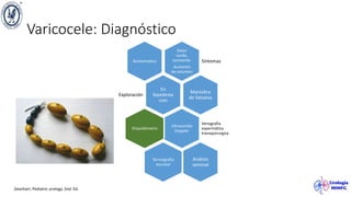 Varicocele: Diagnóstico
Dolor
sordo,
constante.
Aumento
de volumen
Síntomas
Asintomático
En
bipedesta
ción
Exploración
Maniobra
de Valsalva
Ultrasonido
Doppler
Venografia
espermática
transquirurgica
Orquidómetro
Termografía
escrotal
Análisis
seminal
Gearhart. Pediatric urology. 2nd. Ed.
 