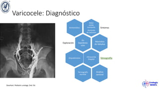 Varicocele: Diagnóstico
Dolor
sordo,
constante.
Aumento
de volumen
Síntomas
Asintomático
En
bipedesta
ción
Exploración
Maniobra
de Valsalva
Ultrasonido
Doppler Venografía
Orquidómetro
Termografía
escrotal
Análisis
seminal
Gearhart. Pediatric urology. 2nd. Ed.
 