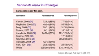 Orchalgia Algorithm Varicocele and Chronic Orchalia, its relationship.pptx