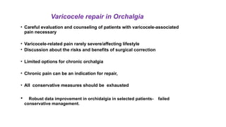 Orchalgia Algorithm Varicocele and Chronic Orchalia, its relationship.pptx