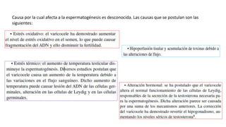 Causa por la cual afecta a la espermatogénesis es desconocida. Las causas que se postulan son las
siguientes:
 