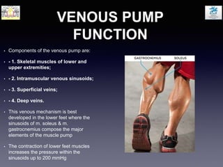 VENOUS PUMP
FUNCTION
• Components of the venous pump are:
• - 1. Skeletal muscles of lower and
upper extremities;
• - 2. Intramuscular venous sinusoids;
• - 3. Superficial veins;
• - 4. Deep veins.
• This venous mechanism is best
developed in the lower feet where the
sinusoids of m. soleus & m.
gastrocnemius compose the major
elements of the muscle pump
• The contraction of lower feet muscles
increases the pressure within the
sinusoids up to 200 mmHg
 