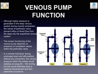 VENOUS PUMP
FUNCTION
• Although higher pressure is
generated in the deep venous
system during muscle contraction,
the valves of perforator veins
prevent reflux of blood flow from
the deep into the superficial venous
system
• The proper functioning of the
venous pump depends on
presence of competent valves
within the perforator veins
• In a normal individual, during
prolonged erect and still position,
without any movement, the venous
pressure within the ankles would
stabilise at range 80 - 100 mmHg,
but this would definitely lead to
oedema development and skin
petechiae occurence
 