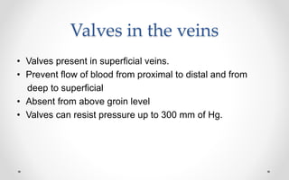 Valves in the veins
• Valves present in superficial veins.
• Prevent flow of blood from proximal to distal and from
deep to superficial
• Absent from above groin level
• Valves can resist pressure up to 300 mm of Hg.
 
