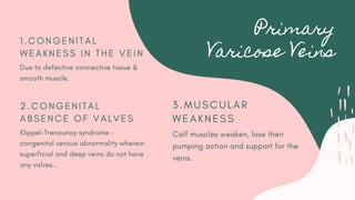 Primary
Varicose Veins
1 . C O N G E N I T A L
W E A K N E S S I N T H E V E I N
Due to defective connective tissue &
smooth muscle.
2 . C O N G E N I T A L
A B S E N C E O F V A L V E S
Klippel-Trenaunay syndrome -
congenital venous abnormality wherein
superficial and deep veins do not have
any valves..
3 . M U S C U L A R
W E A K N E S S
Calf muscles weaken, lose their
pumping action and support for the
veins.
 