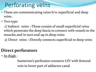 Perforating veins
 These are communicating veins b/w superficial and deep
veins .
 Two type:
1} Indirect veins :-These consist of small superficial veins
which penetrate the deep fascia to connect with vessels in the
muscles and in turn end up in deep veins
2} Direct veins :-Directly connects superficial to deep veins
Direct perforators
 In thigh :
hunterian’s perforator connects LSV with femoral
vein in lower part of adductor canal
 