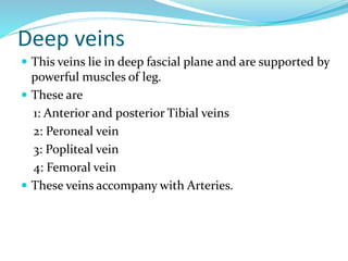 Deep veins
 This veins lie in deep fascial plane and are supported by
powerful muscles of leg.
 These are
1: Anterior and posterior Tibial veins
2: Peroneal vein
3: Popliteal vein
4: Femoral vein
 These veins accompany with Arteries.
 