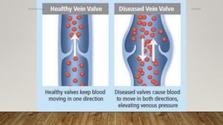 4/4/2019Shubham Gupta ©
 
