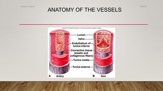 ANATOMY OF THE VESSELS
4/4/2019Shubham Gupta ©
 