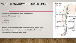 VENOUS ANATOMY OF LOWER LIMBS
The venous drainage system of the lower extremity
consists of three sets of veins:
• Deep veins
• Superficial veins
• Perforating veins
All veins contain delicate one-way valves thatnormally open to allow
blood to flow toward the heartand prevent blood from flowing in a
retrogradefashion after the valves close .
4/4/2019Shubham Gupta ©
 